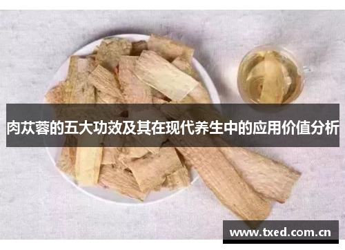 肉苁蓉的五大功效及其在现代养生中的应用价值分析