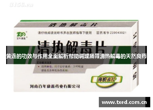 黄连的功效与作用全面解析帮助调理肠胃清热解毒的天然良药