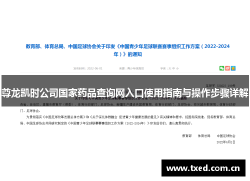 尊龙凯时公司国家药品查询网入口使用指南与操作步骤详解