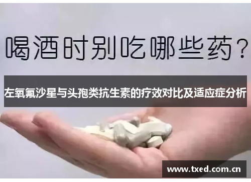 左氧氟沙星与头孢类抗生素的疗效对比及适应症分析