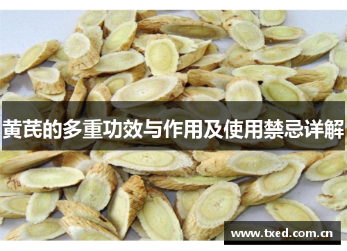 黄芪的多重功效与作用及使用禁忌详解